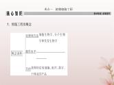 2024届高考生物一轮总复习第十单元生物技术与工程第34讲细胞工程和胚胎工程课件
