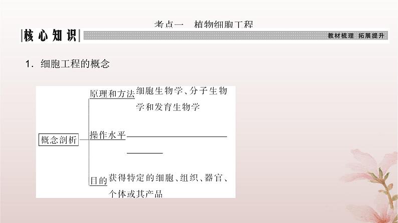 2024届高考生物一轮总复习第十单元生物技术与工程第34讲细胞工程和胚胎工程课件第3页