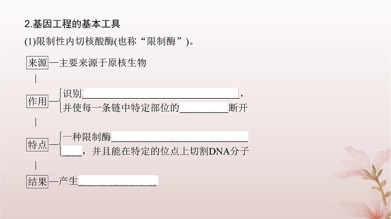 2024届高考生物一轮总复习第十单元生物技术与工程第35讲基因工程及生物技术的安全性与伦理问题课件第4页
