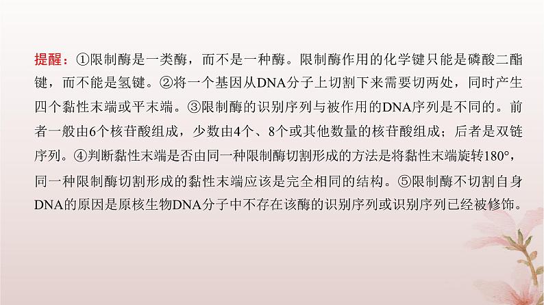 2024届高考生物一轮总复习第十单元生物技术与工程第35讲基因工程及生物技术的安全性与伦理问题课件第5页