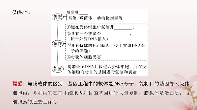 2024届高考生物一轮总复习第十单元生物技术与工程第35讲基因工程及生物技术的安全性与伦理问题课件第7页