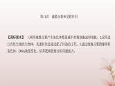 2024届高考生物一轮总复习第四单元细胞的生命历程第11讲减数分裂和受精作用课件