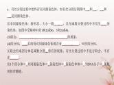 2024届高考生物一轮总复习第四单元细胞的生命历程第11讲减数分裂和受精作用课件