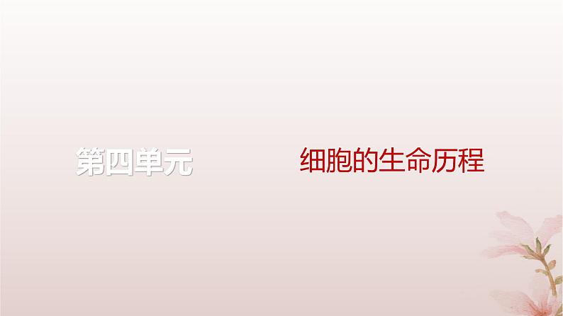 2024届高考生物一轮总复习第四单元细胞的生命历程第10讲细胞的增殖课件01