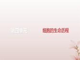 2024届高考生物一轮总复习第四单元细胞的生命历程第12讲细胞的分化衰老和死亡课件