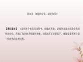 2024届高考生物一轮总复习第四单元细胞的生命历程第12讲细胞的分化衰老和死亡课件