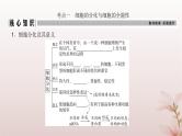 2024届高考生物一轮总复习第四单元细胞的生命历程第12讲细胞的分化衰老和死亡课件