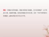 2024届高考生物一轮总复习第四单元细胞的生命历程第12讲细胞的分化衰老和死亡课件