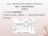 2024届高考生物一轮总复习第四单元细胞的生命历程微专题4细胞分裂中的同位素标记及细胞分裂与可遗传变异的关系课件