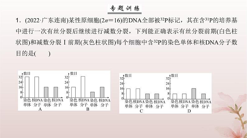 2024届高考生物一轮总复习第四单元细胞的生命历程微专题4细胞分裂中的同位素标记及细胞分裂与可遗传变异的关系课件第6页