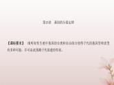 2024届高考生物一轮总复习第五单元遗传的基本规律第13讲基因的分离定律课件