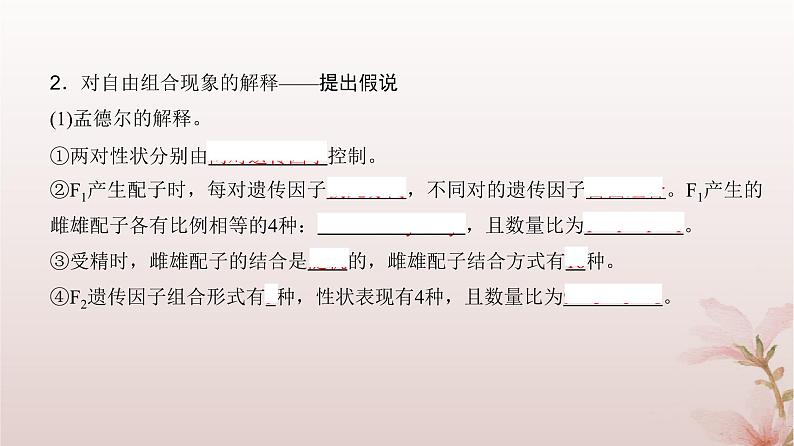 2024届高考生物一轮总复习第五单元遗传的基本规律第14讲基因的自由组合定律课件第5页