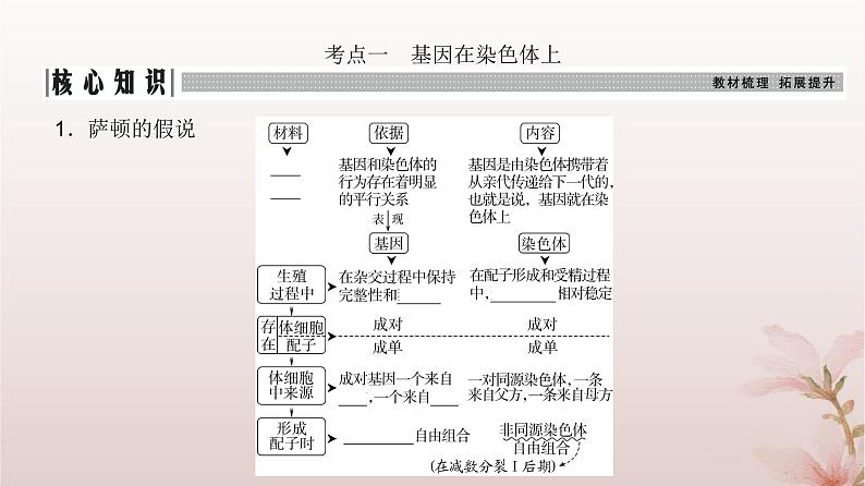 2024届高考生物一轮总复习第五单元遗传的基本规律第15讲伴性遗传和人类遗传参件课件PPT第3页