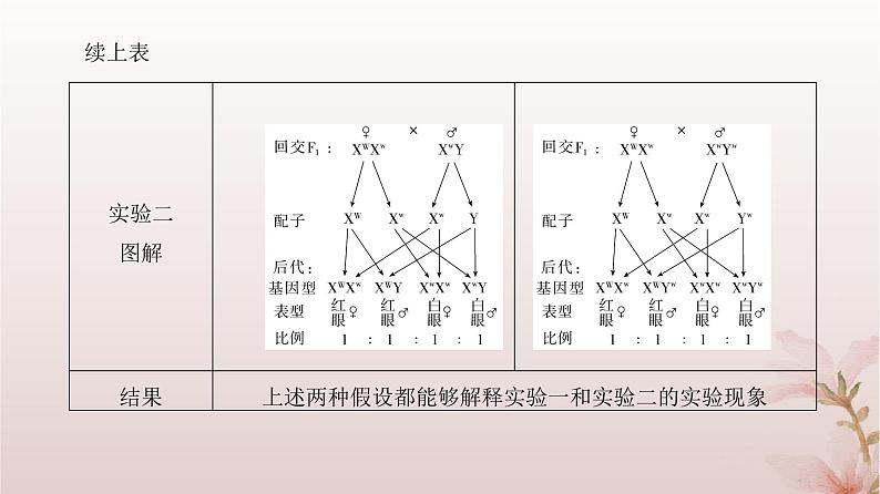 2024届高考生物一轮总复习第五单元遗传的基本规律第15讲伴性遗传和人类遗传参件课件PPT第7页