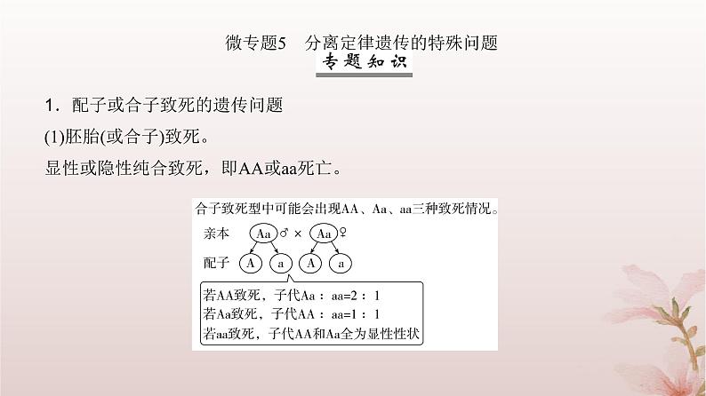 2024届高考生物一轮总复习第五单元遗传的基本规律微专题5分离定律遗传的特殊问题课件第2页