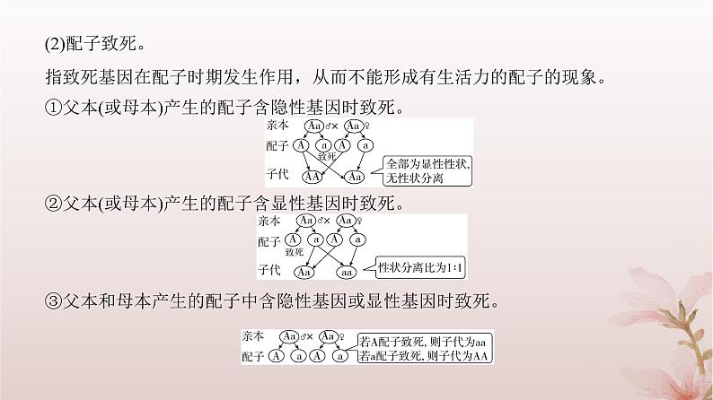 2024届高考生物一轮总复习第五单元遗传的基本规律微专题5分离定律遗传的特殊问题课件第3页