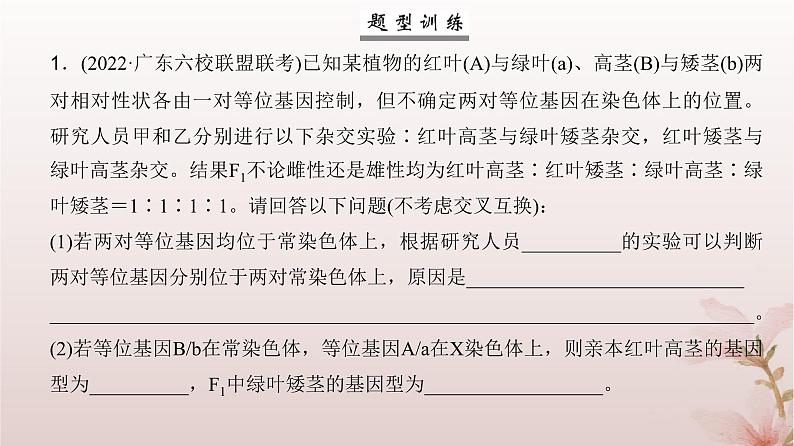 2024届高考生物一轮总复习第五单元遗传的基本规律微专题7基因位置的判断及其遗传实验设计方法课件04