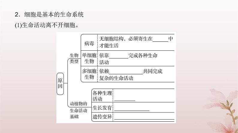 2024届高考生物一轮总复习第一单元细胞及组成细胞的分子第1讲走近细胞课件05