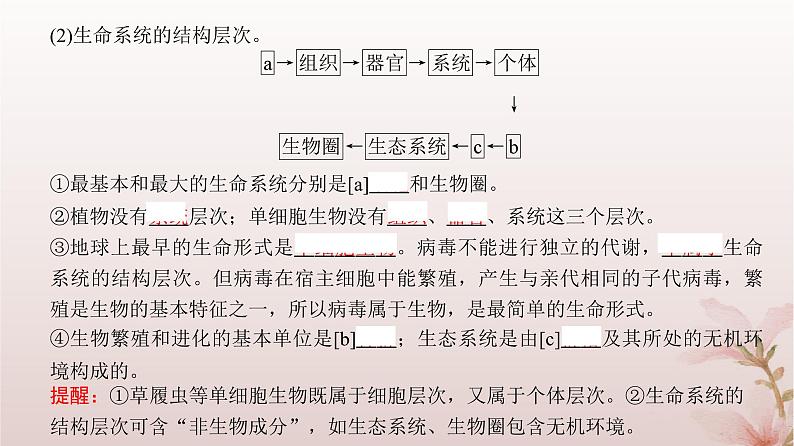 2024届高考生物一轮总复习第一单元细胞及组成细胞的分子第1讲走近细胞课件06