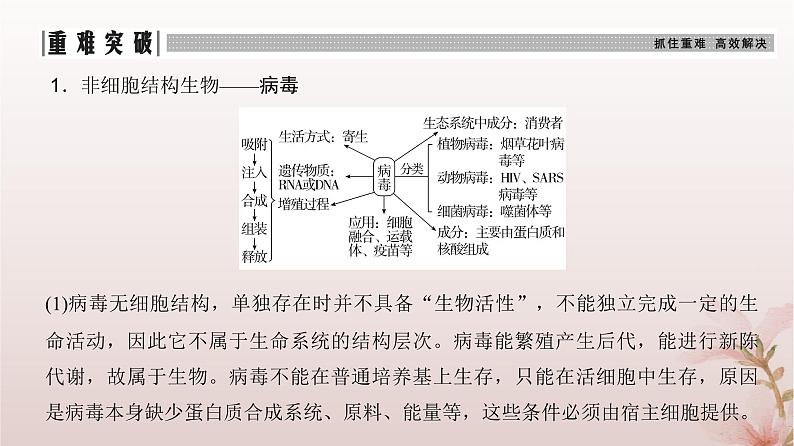 2024届高考生物一轮总复习第一单元细胞及组成细胞的分子第1讲走近细胞课件07