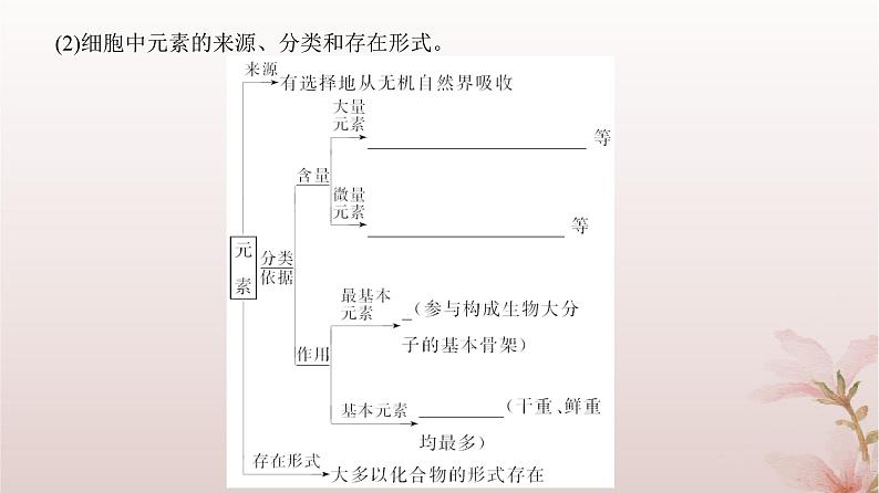 2024届高考生物一轮总复习第一单元细胞及组成细胞的分子第2讲细胞中的无机物糖类和脂质课件04