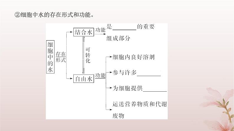 2024届高考生物一轮总复习第一单元细胞及组成细胞的分子第2讲细胞中的无机物糖类和脂质课件07