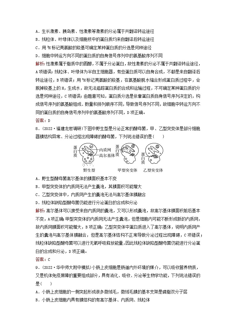 2024届高考生物一轮总复习第二单元细胞的基本结构与物质运输课时跟踪练5细胞器之间的分工合作03