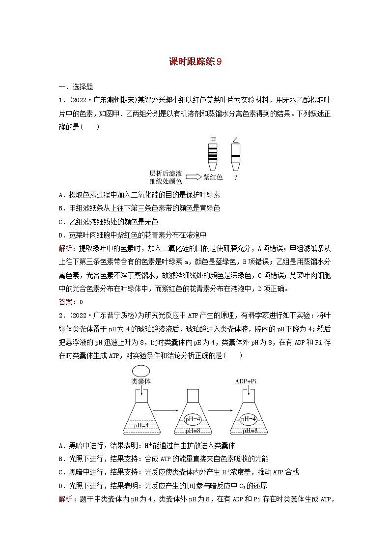 2024届高考生物一轮总复习第三单元细胞的能量供应和利用课时跟踪练9光合作用与能量转化01
