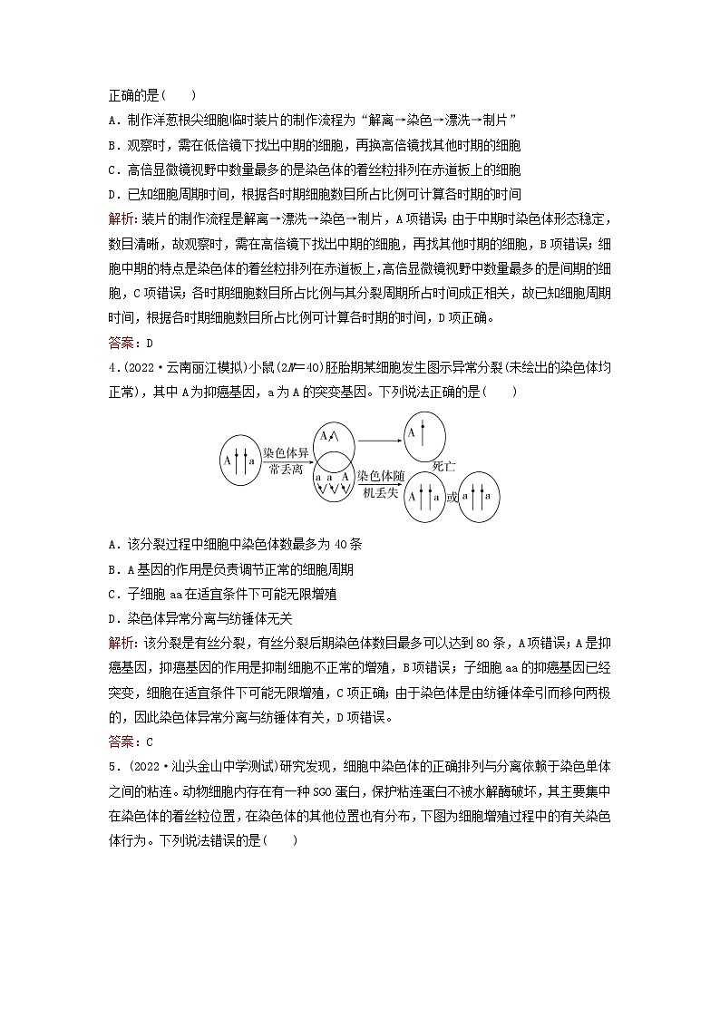 2024届高考生物一轮总复习第四单元细胞的生命历程课时跟踪练10细胞的增殖02
