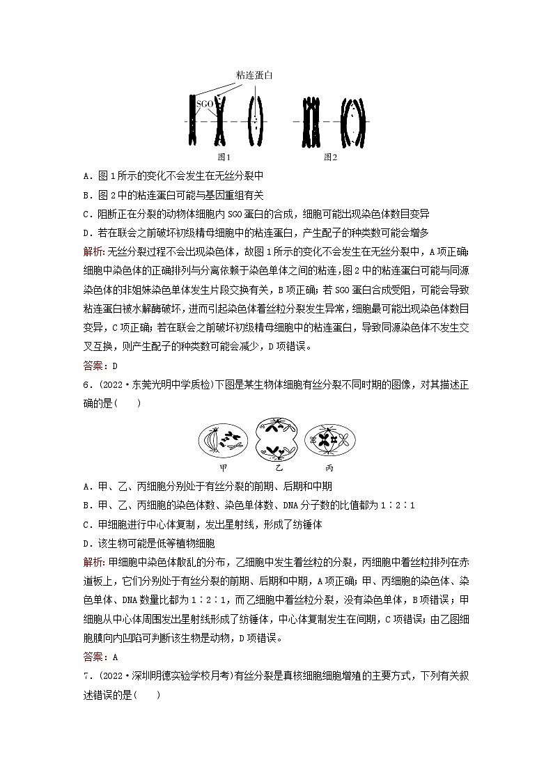 2024届高考生物一轮总复习第四单元细胞的生命历程课时跟踪练10细胞的增殖03
