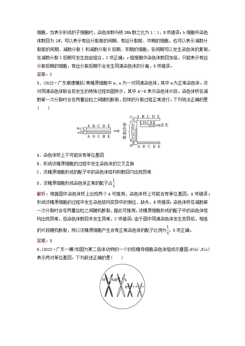2024届高考生物一轮总复习第四单元细胞的生命历程课时跟踪练11减数分裂和受精作用第3页