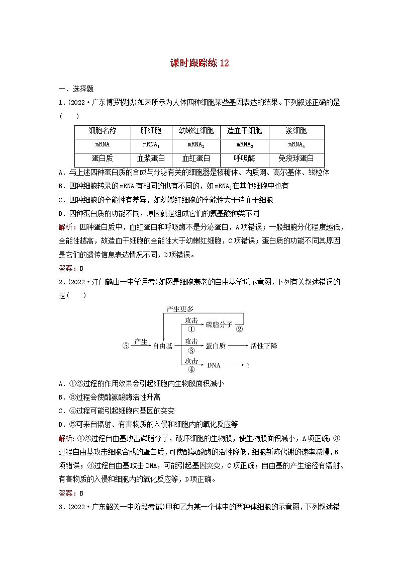 2024届高考生物一轮总复习第四单元细胞的生命历程课时跟踪练12细胞的分化衰老和死亡01