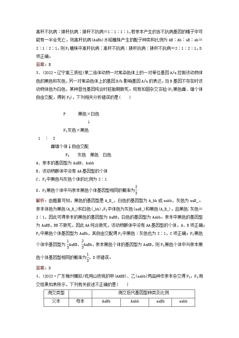 2024届高考生物一轮总复习第五单元遗传的基本规律课时跟踪练14基因的自由组合定律02