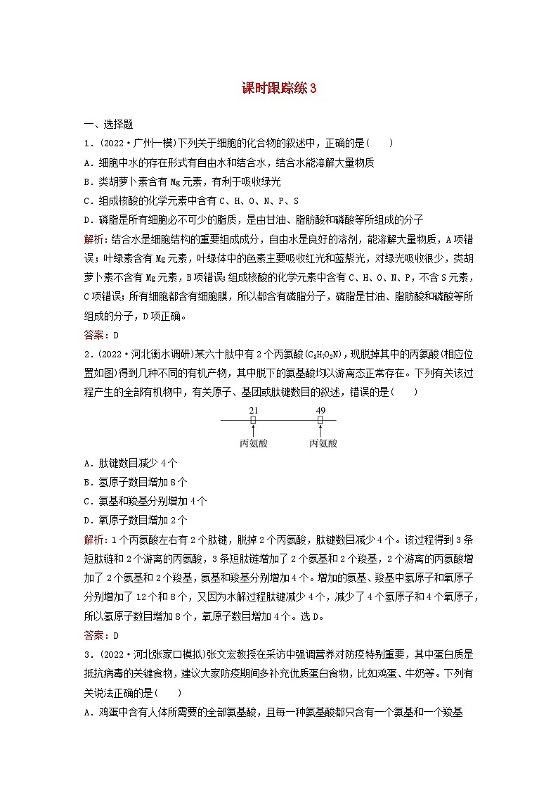 2024届高考生物一轮总复习第一单元细胞及组成细胞的分子课时跟踪练3蛋白质和核酸01