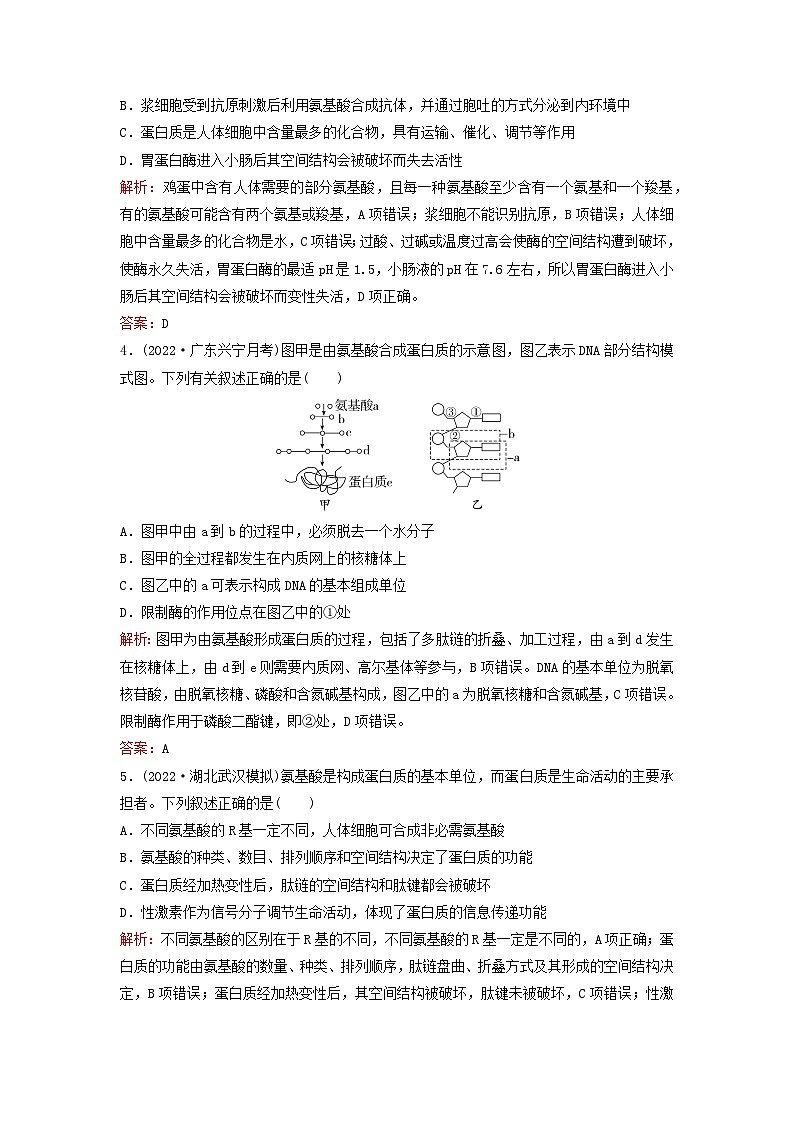 2024届高考生物一轮总复习第一单元细胞及组成细胞的分子课时跟踪练3蛋白质和核酸02