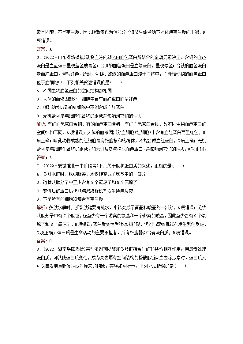 2024届高考生物一轮总复习第一单元细胞及组成细胞的分子课时跟踪练3蛋白质和核酸03