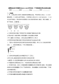 湖南省岳阳市湘阴县2022-2023学年高一下学期期末考试生物试卷（含答案）
