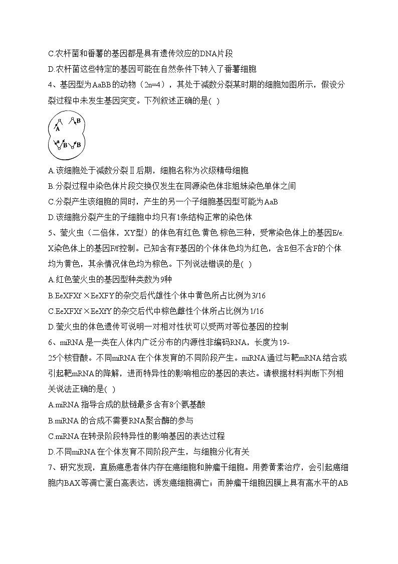 湖南省岳阳市湘阴县2022-2023学年高一下学期期末考试生物试卷（含答案）02