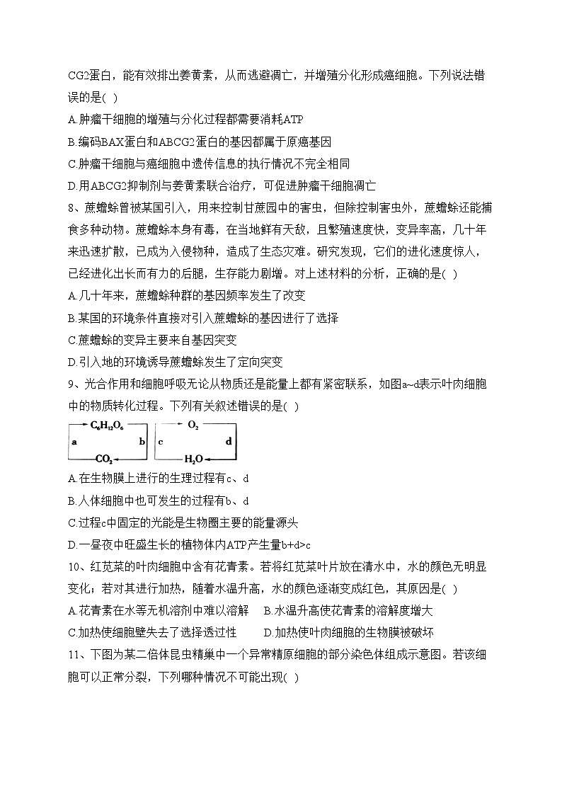 湖南省岳阳市湘阴县2022-2023学年高一下学期期末考试生物试卷（含答案）03