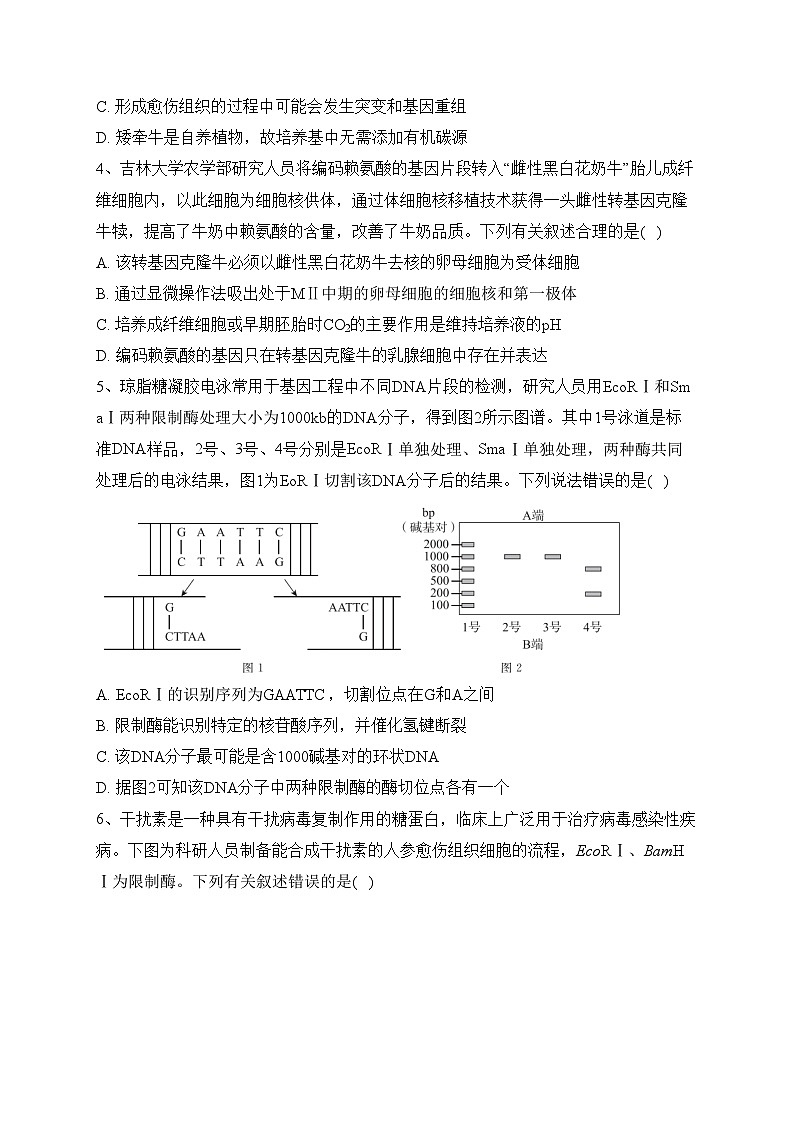合阳县合阳中学2022-2023学年高二下学期期末质量检测生物试卷（含答案）02
