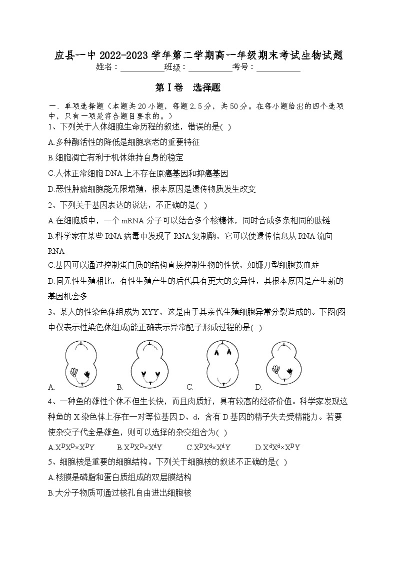 山西省朔州市应县第一中学校2022-2023学年高一下学期7月期末生物试题01