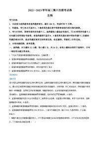 精品解析：2023届湖南省娄底市涟源市一中等三校高三第六次联考生物试题（解析版）