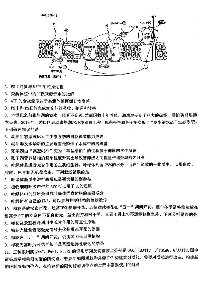 湖北省武汉市硚口区2023—2024学年高三上学期起点质量检测生物试题03