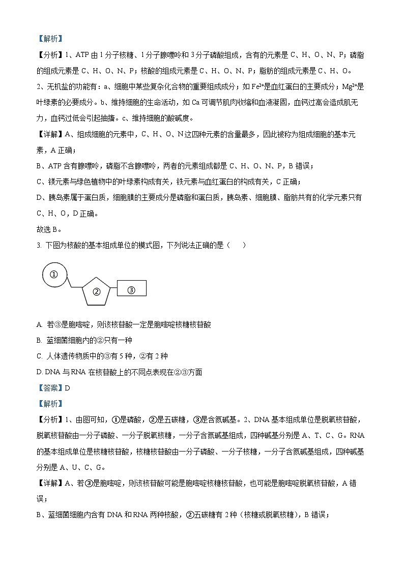 精品解析：黑龙江省大庆市肇州县二中2022-2023学年高一下学期开学考试生物试题（解析版）第2页
