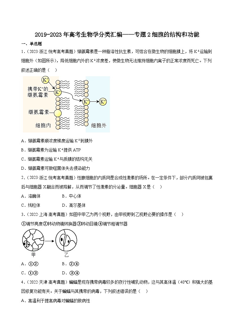 2019-2023年高考生物学分类汇编——专题2细胞的结构和功能（原卷版）第1页