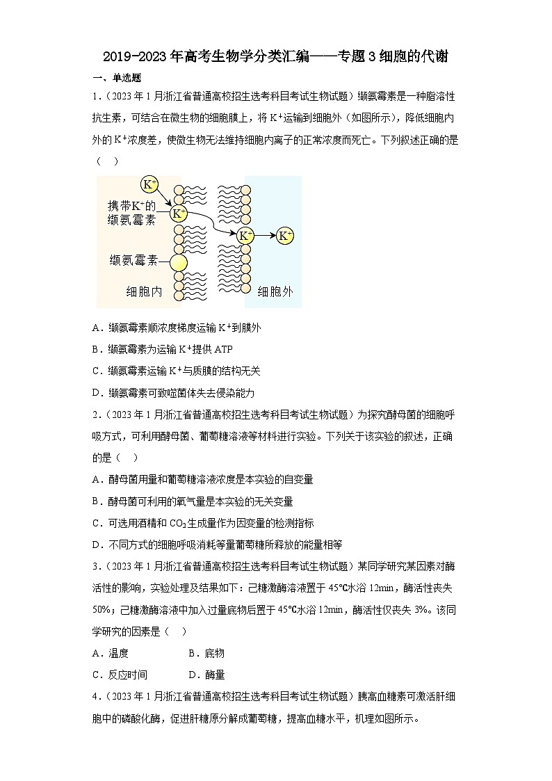2019-2023年高考生物学分类汇编——专题3细胞的代谢01