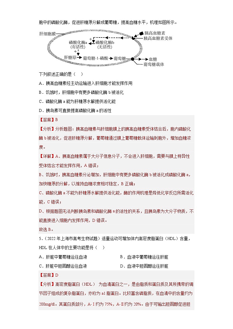 2019-2023年高考生物学分类汇编——专题3细胞的代谢03
