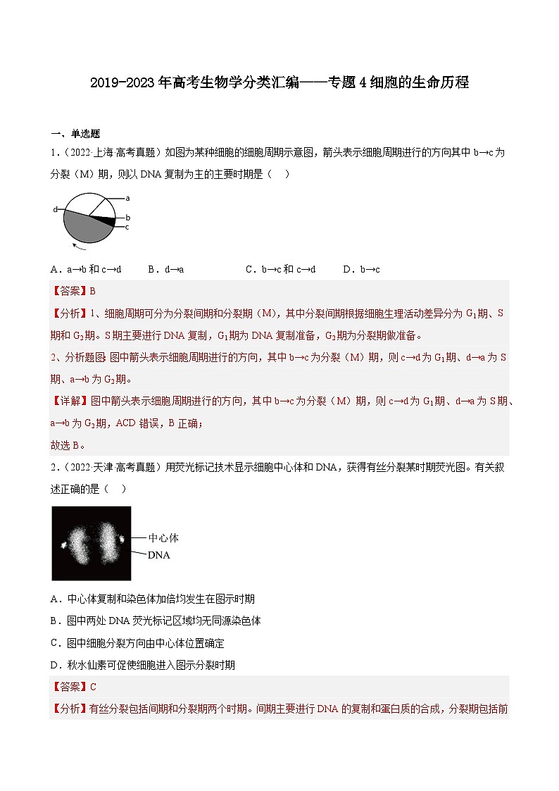 2019-2023年高考生物学分类汇编——专题4细胞的生命历程（解析版）第1页