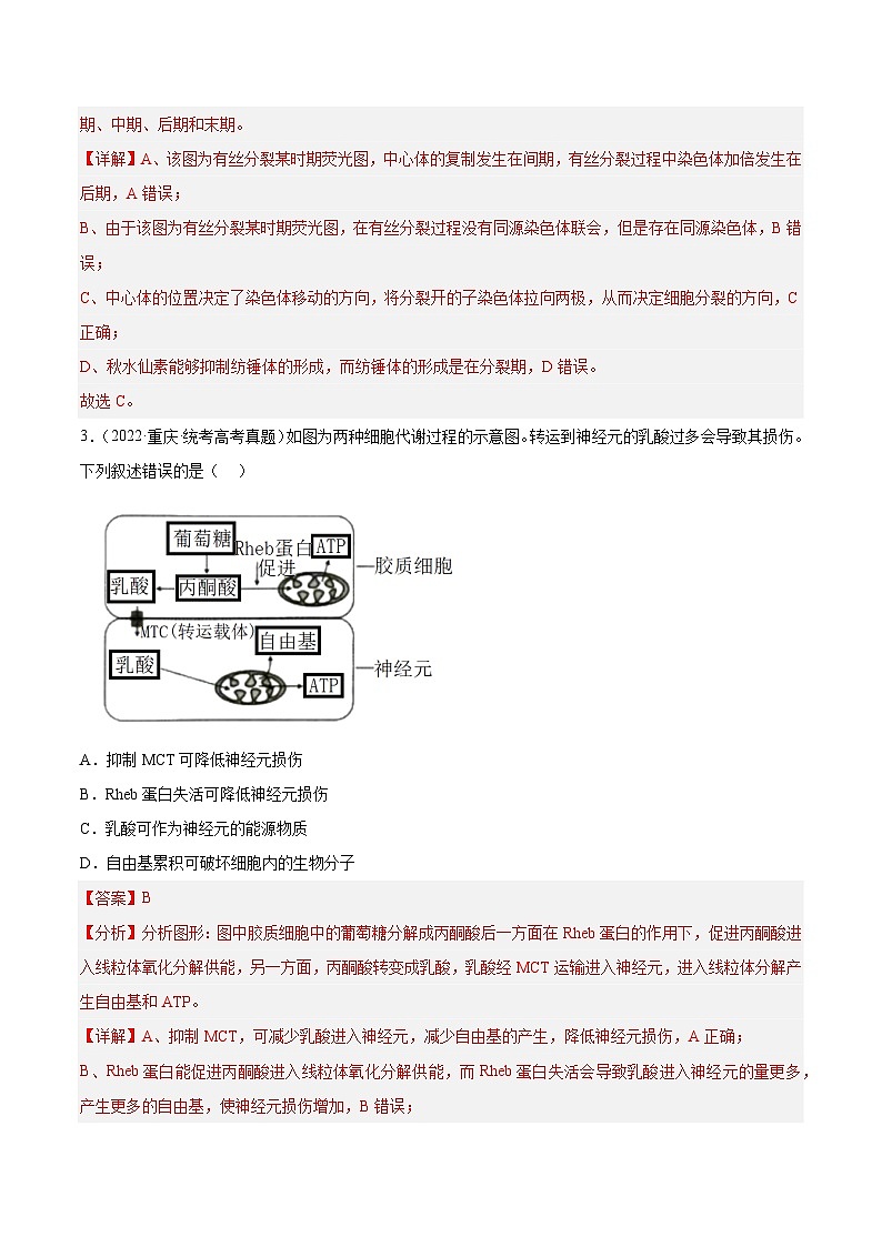 2019-2023年高考生物学分类汇编——专题4细胞的生命历程（解析版）第2页