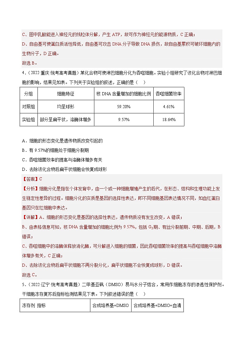 2019-2023年高考生物学分类汇编——专题4细胞的生命历程（解析版）第3页